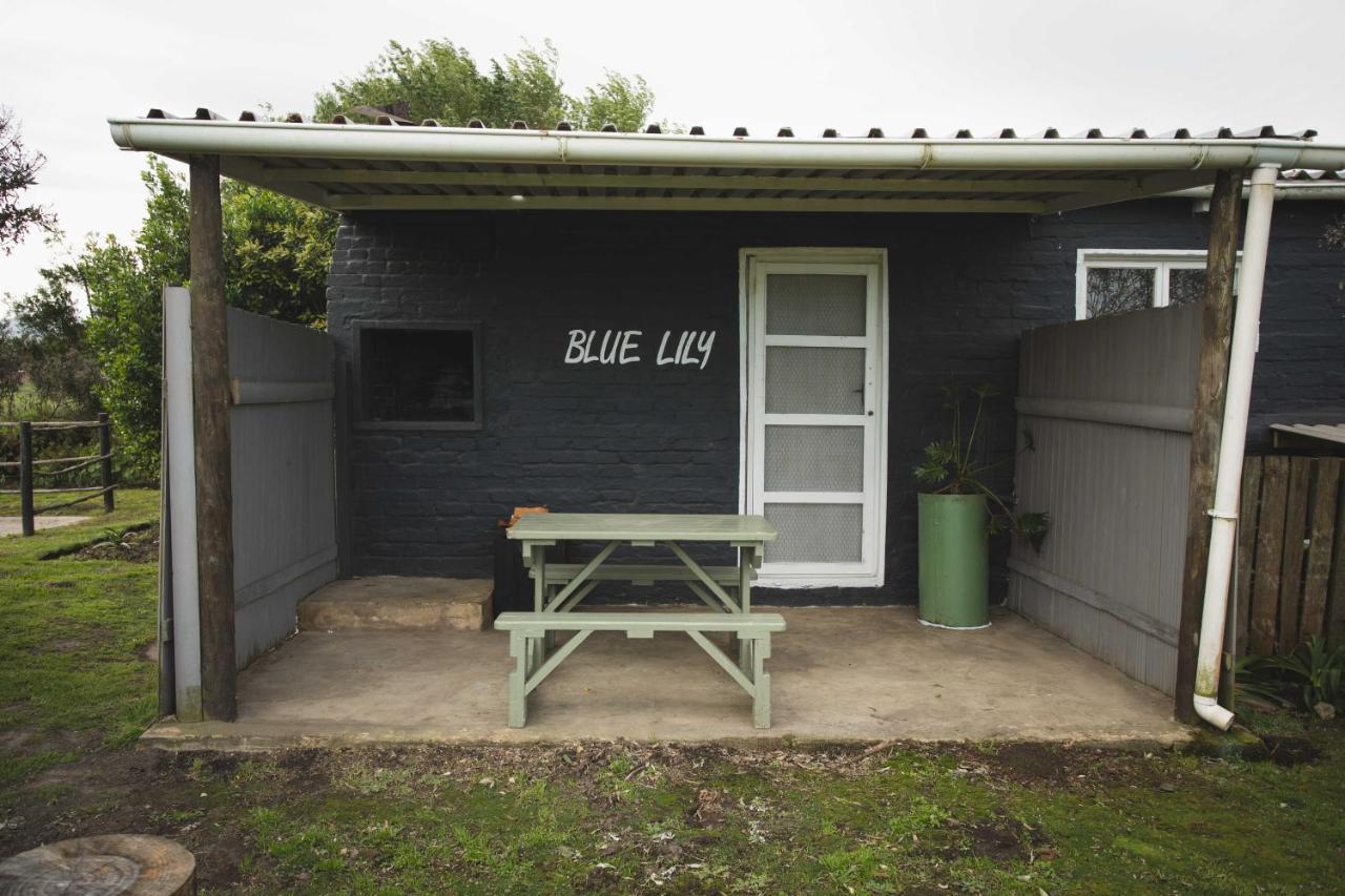 Beyond Urban Cottages สตอร์มริเวอร์ ภายนอก รูปภาพ